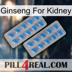 Ginseng For Kidney 23